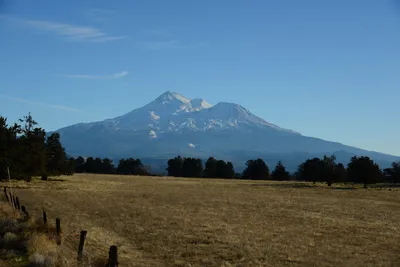 DSC_2991 (Large).JPG